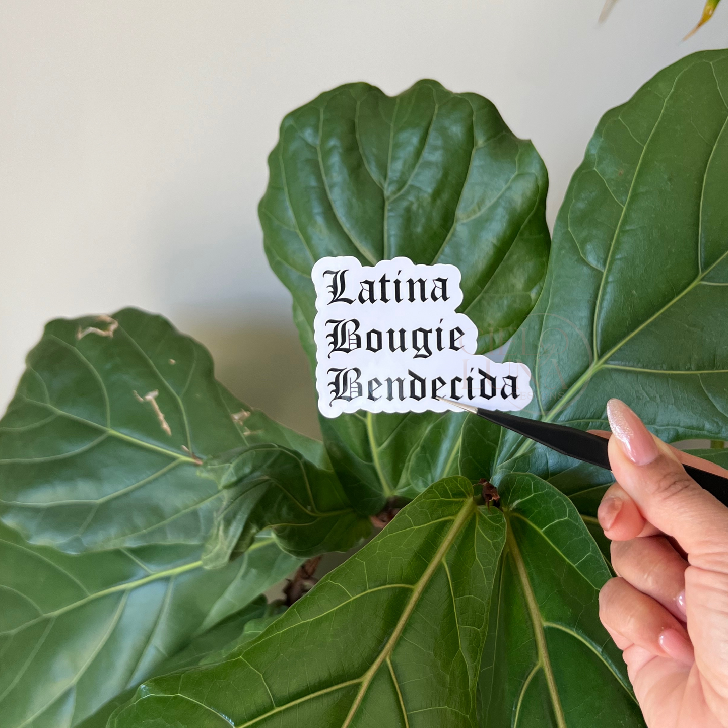 Latina Bougie Sticker