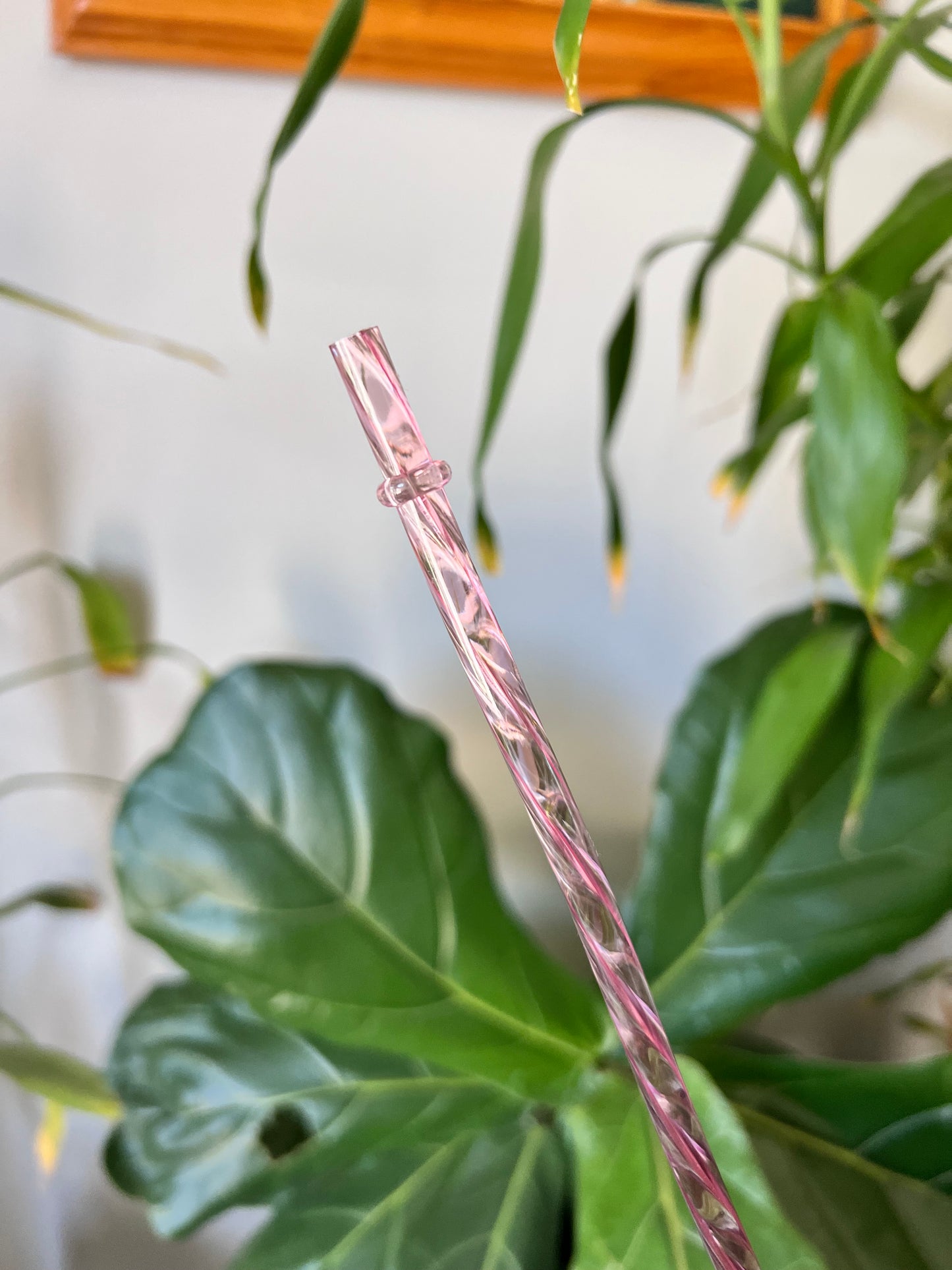 Acrylic Straws